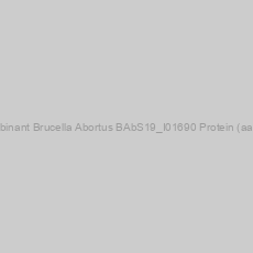 Image of Recombinant Brucella Abortus BAbS19_I01690 Protein (aa 1-126)